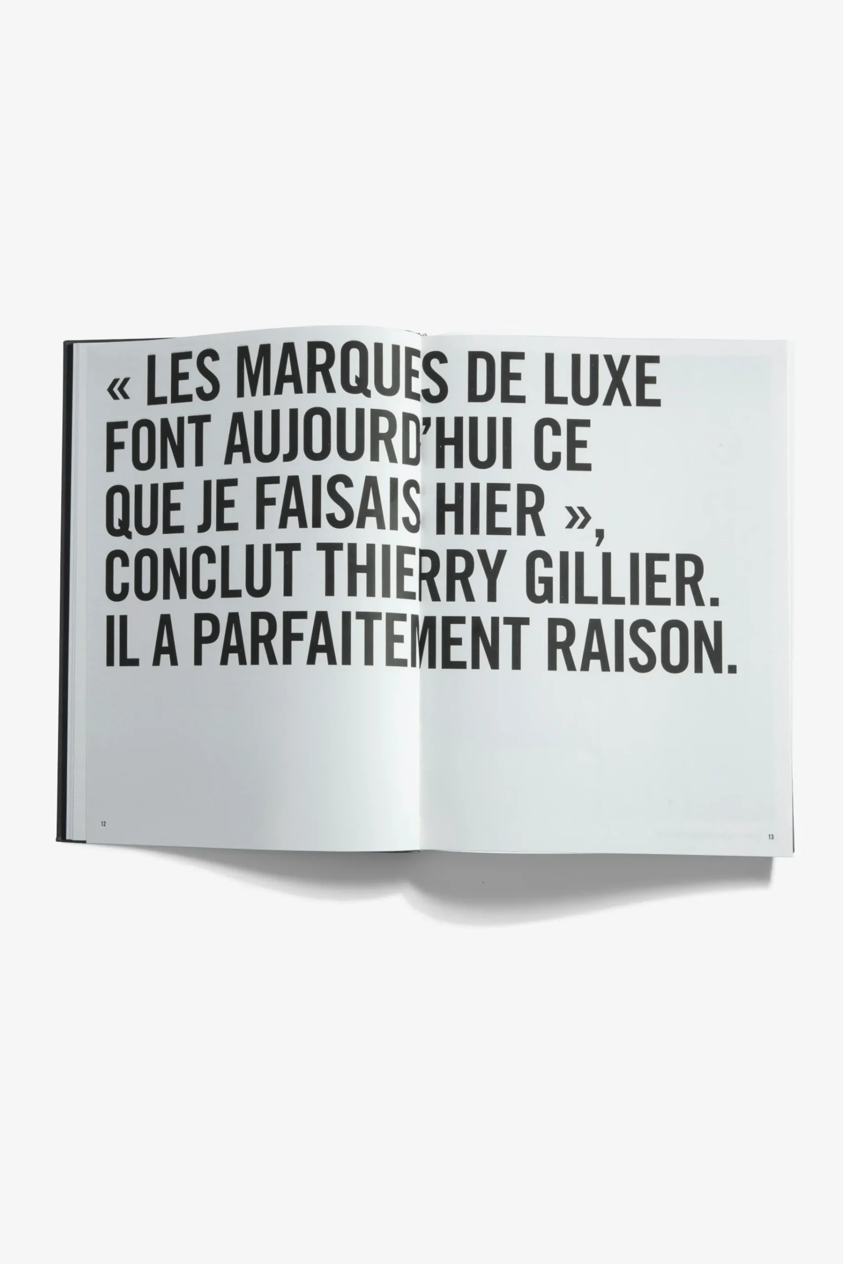 Vice-Voltaire^Zadig & Voltaire Livre "Zadig&Voltaire : Cree En 1997 A Paris" - Version Francaise