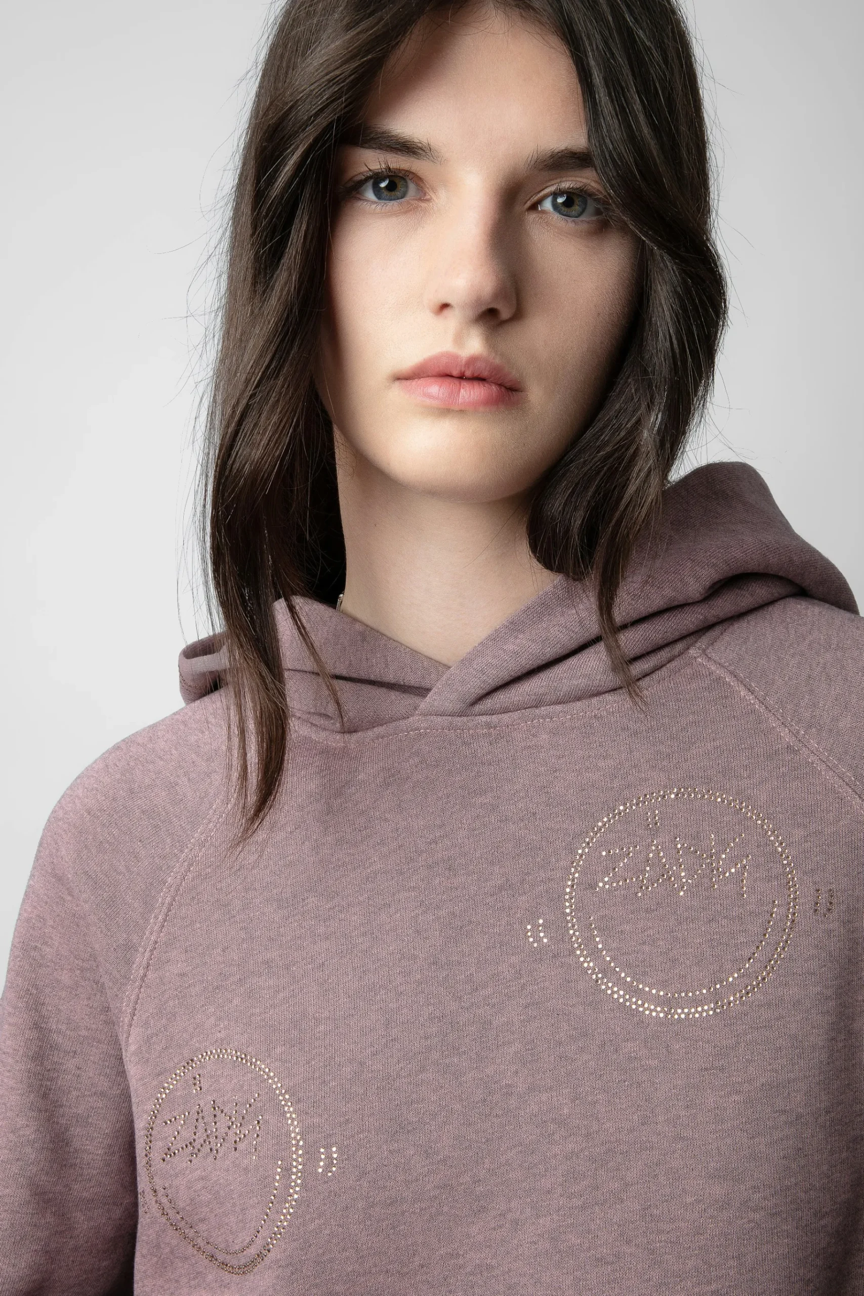 Sweat-Shirts^Zadig & Voltaire Sweat A Capuche Georgy Diamante